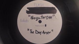 Flash - Megatron | [PERF 25T; W/LBL]