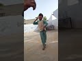 D J Rukna Nahi Chahiye Cover Dance Renuka Panwar Anjali Raghav Viral Dance