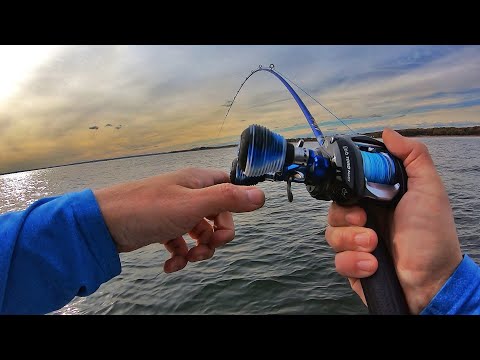 Striper Fishing Birds with 2 Baits You Should ALWAYS Have Tied On!