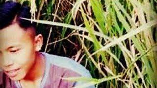 Download lagu Story wa (ingin hilang ingatan) mp3