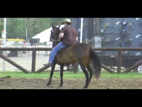 Porcelana De Guadalupe