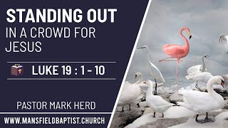 Luke 19 v 1-10: Standing out in a crowd