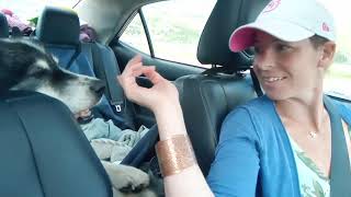 Play video Twenty Eight