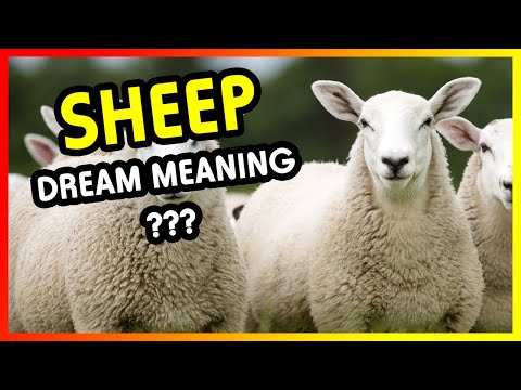 Sheep dream interpretation and dream meaning