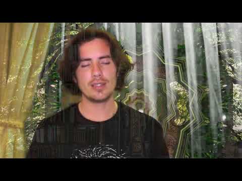 Day 158 Law-  LLu - I Am the Branches of the Genealogic Tree.