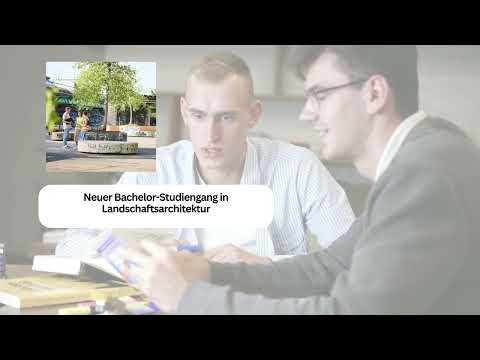 Aktuelle News 17.09.2025: Berner Fachhochschule, BFH, Bachelor Studiengang