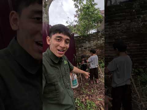 Fischbecken hinterm Haus, der Jungle Boy, Survival Jungle Brothers." #bushcraftpfalz #thejungleboy