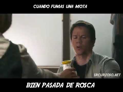 Llevame a casa - Ted 2