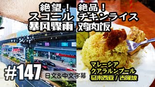 VLOG147 絶望！スコール！絶品！チキンライス！in マレーシア[中国上海日本人VLOG][日文・中文字幕]