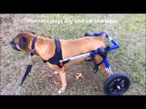 Walkin Wheels Psí invalidní vozík Koupelnová přestávka