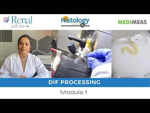 Kidney Biopsy DIF Processing | Renal Path Labs | Histology Science | Priya Singh
