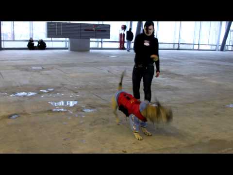 Dante Mishel Lourens & Dafni Mikaela Pascal