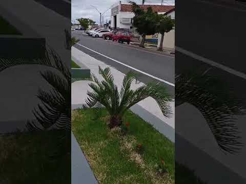 Conheça o "Berço do Sertão Paraibano" Pombal PB