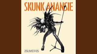 Yes It&#39;s Fucking Political (Live)