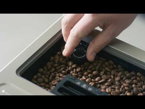 Kavos aparatas pilnai automatinis DeLonghi Magnifica ECAM 21.117.SB (1450W, sidabrinis color) video