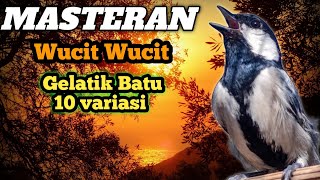 Download lagu MASTERAN SPESIAL GELATIK BATU GACOR WUCIT WUCIT 10 VARIASI MUDAH MASUK mp3 Download lagu MASTERAN SPESIAL GELATIK BATU GACOR WUCIT WUCIT 10 VARIASI MUDAH MASUK mp3