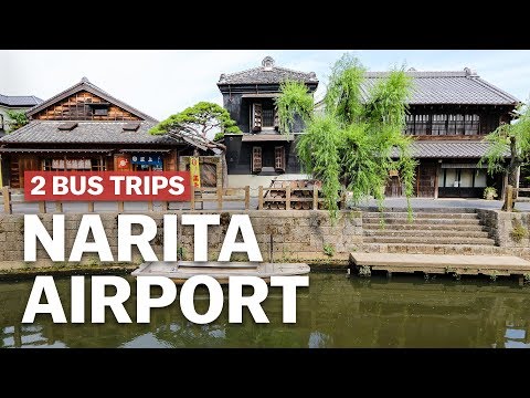 從成田機場出發的2條巴士旅遊路線｜Japan-guide.com (2 Bus Tours from Narita Airport | japan-guide.com)