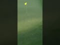 Scottie Scheffler recovers on 18th hole with INCREDIBLE SHOT?#shorts