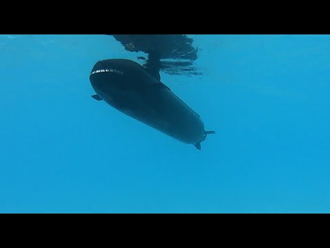 Naracoorte 2019 Subs Trafalgar Class HMS Triumph