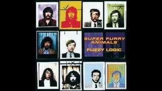 Super Furry Animals - "Gathering Moss"