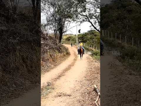 Leozinho ☠️☠️ #leozinn #osrosa #roça #fazenda #capcutediting #viral