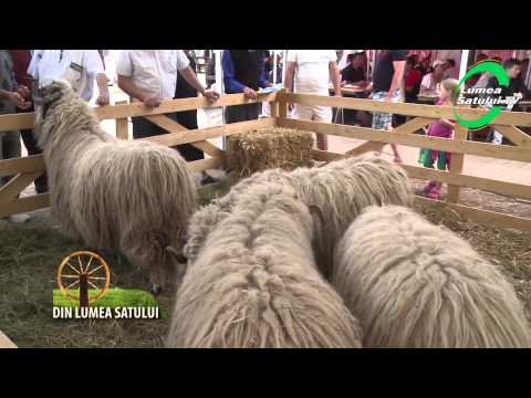 Emisiunea "Din Lumea Satului" - 20 mai 2012