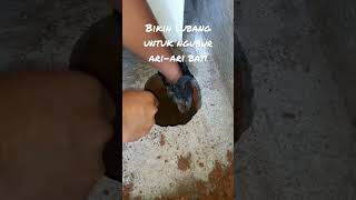 Download lagu Bikin lubang untuk mengubur ari-ari bayi#shorts mp3 Download lagu Bikin lubang untuk mengubur ari-ari bayi#shorts mp3
