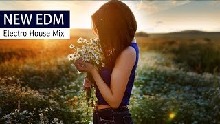 NEW EDM MIX | Electro House & Dance Progressive Music 2017