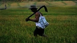 Download lagu AILEBA - Jino da Costa mp3 Download lagu AILEBA - Jino da Costa mp3