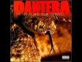 Pantera~13 Steps to Nowhere