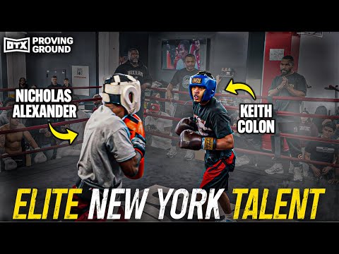 OTX PROVING GROUND! MASSIVE Sparring Event With TOP New York Boxers!