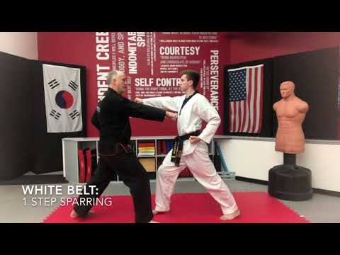 Techniques - White Belt: 1 Step Sparring