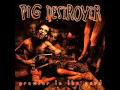 Pig Destroyer - junkyard god