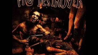 Pig Destroyer - junkyard god