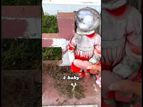 Restoring a baby’s grave for Free