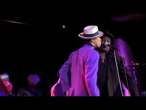 Thumbnail for KID CREOLE AND THE COCONUTS - featuring Bongo Eddie