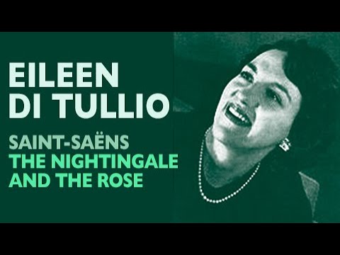 Eileen di Tullio - Saint-Saëns: PARYSATIS, The Nightingale and the Rose