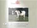 CBC October 9 1996 Newfoundland IDs