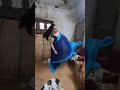 VEDIO SERIES 70 Youtubeshorts Saree Youshorts