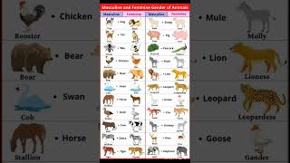 masculine and feminine gender of animal&#39;s #grammar #vocabulary #englishpractice #spokenenglish