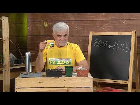 Вперёд, товарищи! На дачу! Выпуск от 28.04.26