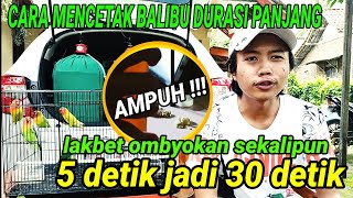 Download lagu CARA MENCETAK BALIBU DURASI PANJANG mp3