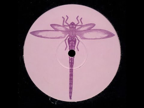 Kaaya - Braindance/Ormazd EP [1996] Dragonfly Records [Goa Trance]