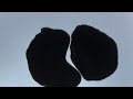 Peggy Lee (Gabin Remix) vs  Cicada - Mr. P Fever (Apollo IV Mashup)