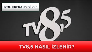 TV85 - CANLI İZLE