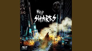 Sharks Music Video