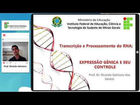 Transcrição do RNA - Parte I