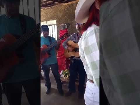 Israel Santos, Embaixando em Folia de Reis de Crixás - Goiás.