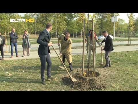 BL HRONIKA 2 11 21 - SADNJA PLATANA