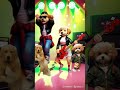 APT APT Dog Remix Ytshorts Youtubeshorts Catdance Funny Apt Dogdance Brunomars Aptsong Dog